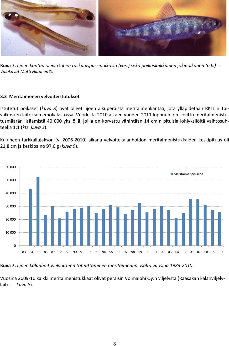 Vuodesta 21 alkaen vuoden 211 loppuun on sovittu meritaimenistutusmäärän lisäämistä 4 yksilöllä, joilla on korvattu vähintään 14 cm:n pituisia lohiyksilöitä vaihtosuhteella 1:1 (kts. kuva 3).