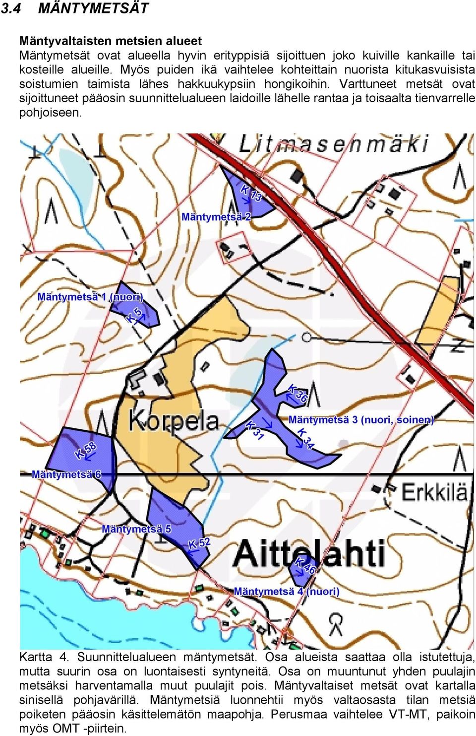 Varttuneet metsät ovat sijoittuneet pääosin suunnittelualueen laidoille lähelle rantaa ja toisaalta tienvarrelle pohjoiseen. Kartta 4. Suunnittelualueen mäntymetsät.