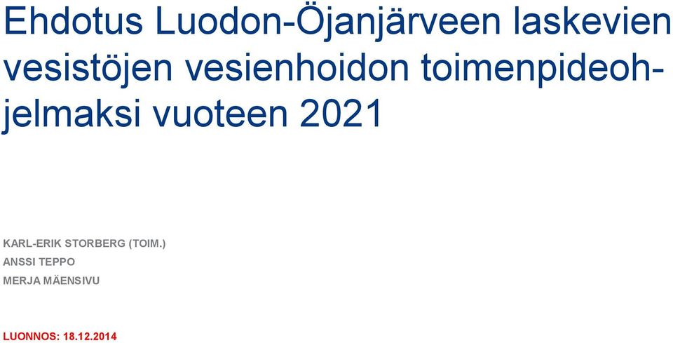 toimenpideohjelmaksi vuoteen 2021