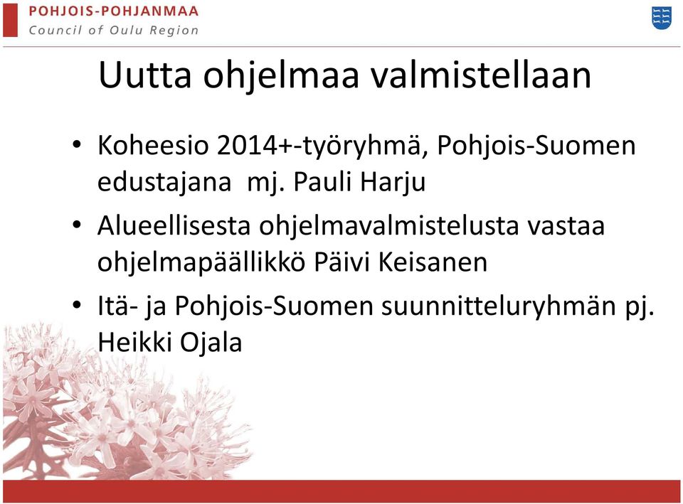 Pauli Harju Alueellisesta ohjelmavalmistelusta vastaa