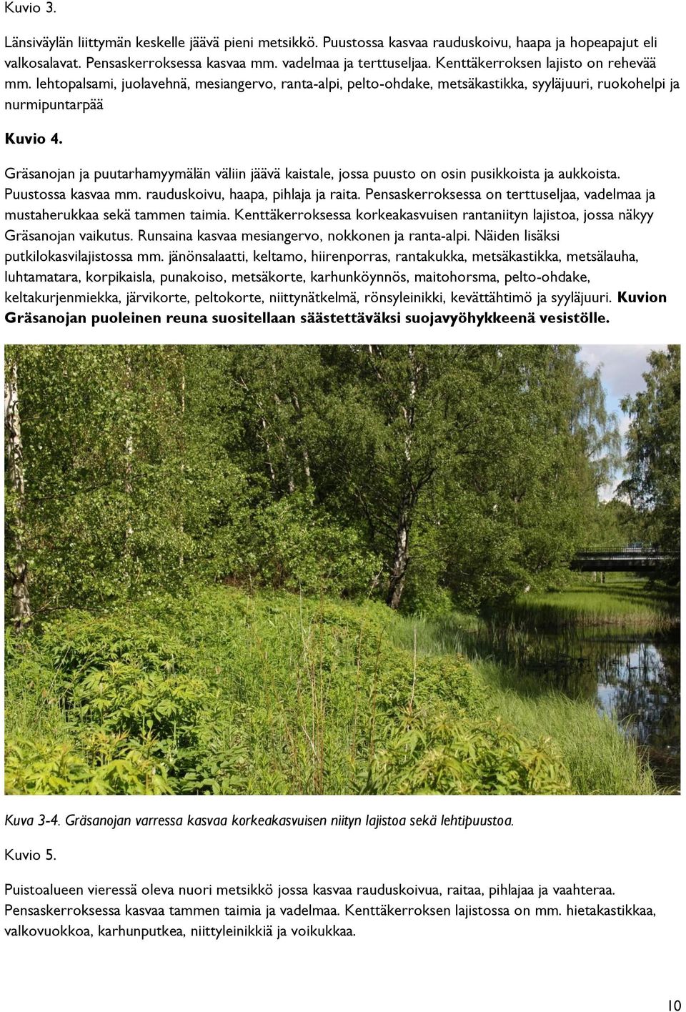 Gräsanojan ja puutarhamyymälän väliin jäävä kaistale, jossa puusto on osin pusikkoista ja aukkoista. Puustossa kasvaa mm. rauduskoivu, haapa, pihlaja ja raita.