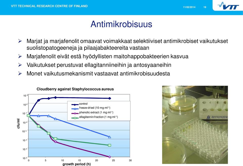 antosyaaneihin Monet vaikutusmekanismit vastaavat antimikrobisuudesta 10 9 Cloudberry against Staphylococcus aureus cfu/ml 10 8 10 7 10 6 10 5