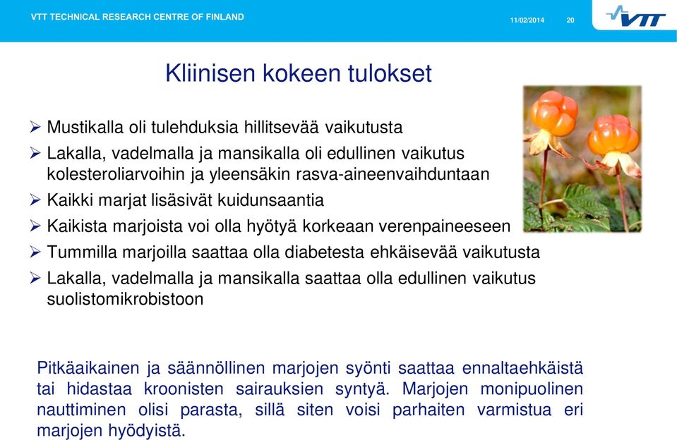 diabetesta ehkäisevää vaikutusta Lakalla, vadelmalla ja mansikalla saattaa olla edullinen vaikutus suolistomikrobistoon Pitkäaikainen ja säännöllinen marjojen syönti