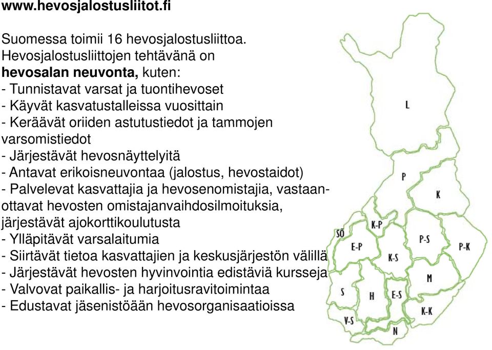 tammojen varsomistiedot - Järjestävät hevosnäyttelyitä - Antavat erikoisneuvontaa (jalostus, hevostaidot) - Palvelevat kasvattajia ja hevosenomistajia, vastaanottavat hevosten