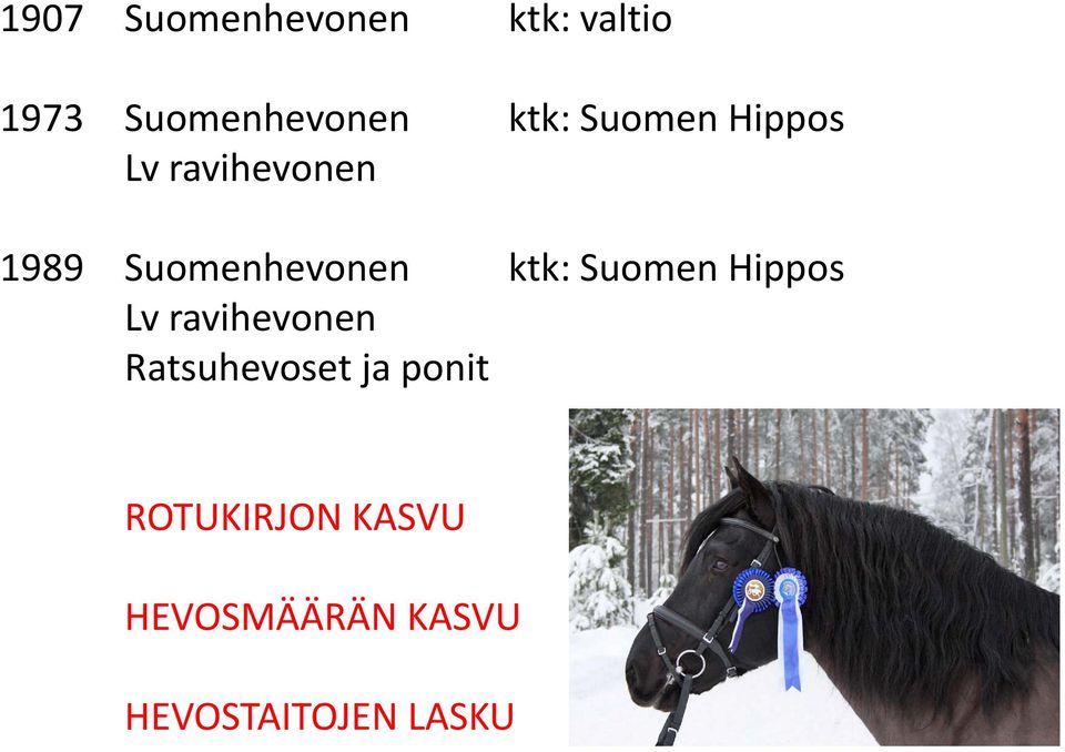ktk: Suomen Hippos Lv ravihevonen Ratsuhevoset ja