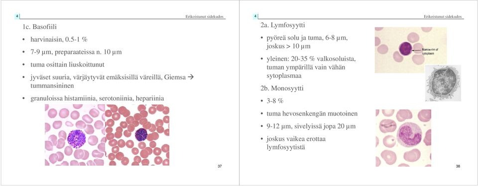 histamiinia, serotoniinia, hepariinia 2a.