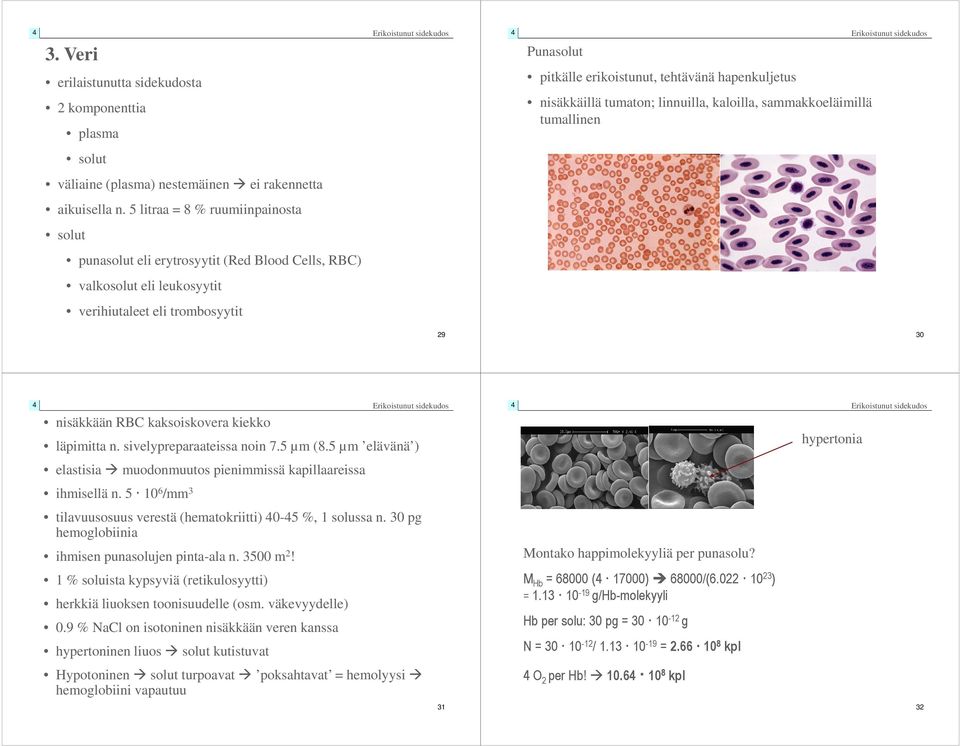 5 litraa = 8 % ruumiinpainosta solut punasolut eli erytrosyytit (Red Blood Cells, RBC) valkosolut eli leukosyytit verihiutaleet eli trombosyytit 29 30 nisäkkään RBC kaksoiskovera kiekko läpimitta n.