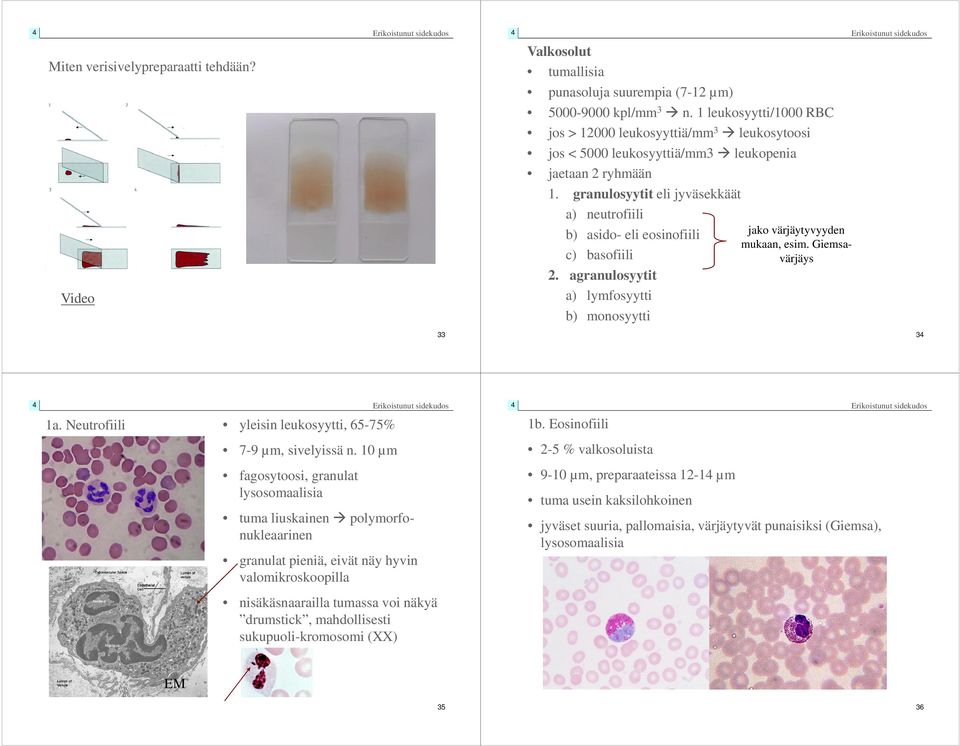 granulosyytit eli jyväsekkäät Video a) neutrofiili b) asido- eli eosinofiili c) basofiili 2. agranulosyytit a) lymfosyytti b) monosyytti jako värjäytyvyyden mukaan, esim. Giemsavärjäys 33 3 1a.