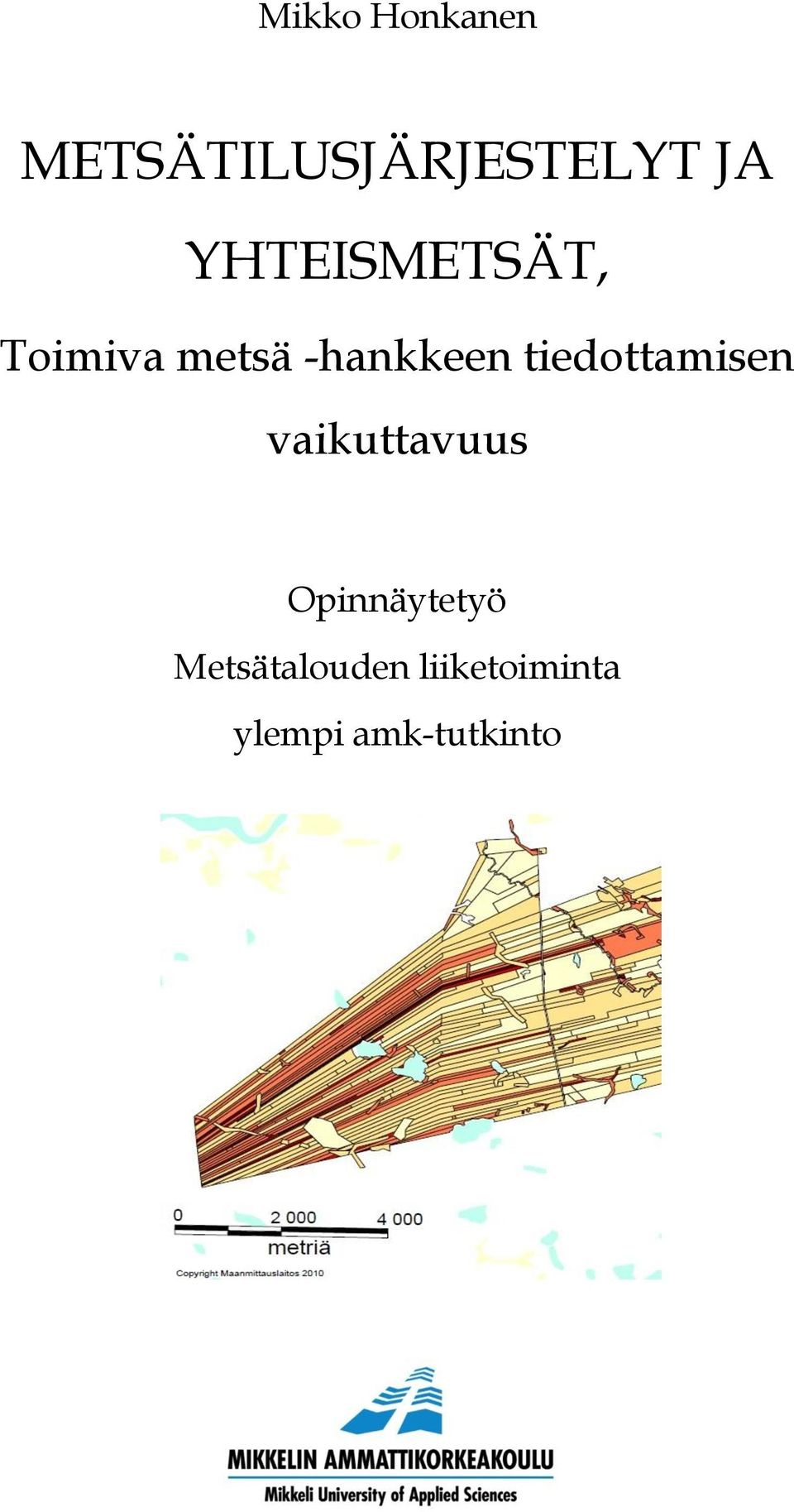 tiedottamisen vaikuttavuus Opinnäytetyö