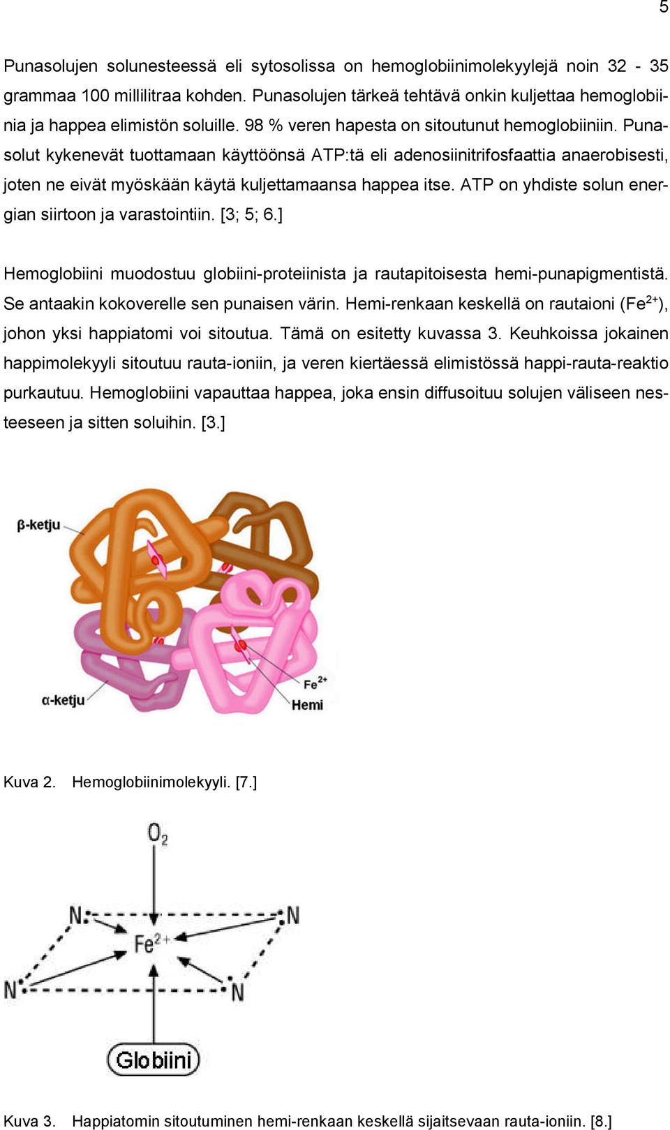 ATP on yhdiste solun energian siirtoon ja varastointiin. [3; 5; 6.] Hemoglobiini muodostuu globiini-proteiinista ja rautapitoisesta hemi-punapigmentistä. Se antaakin kokoverelle sen punaisen värin.