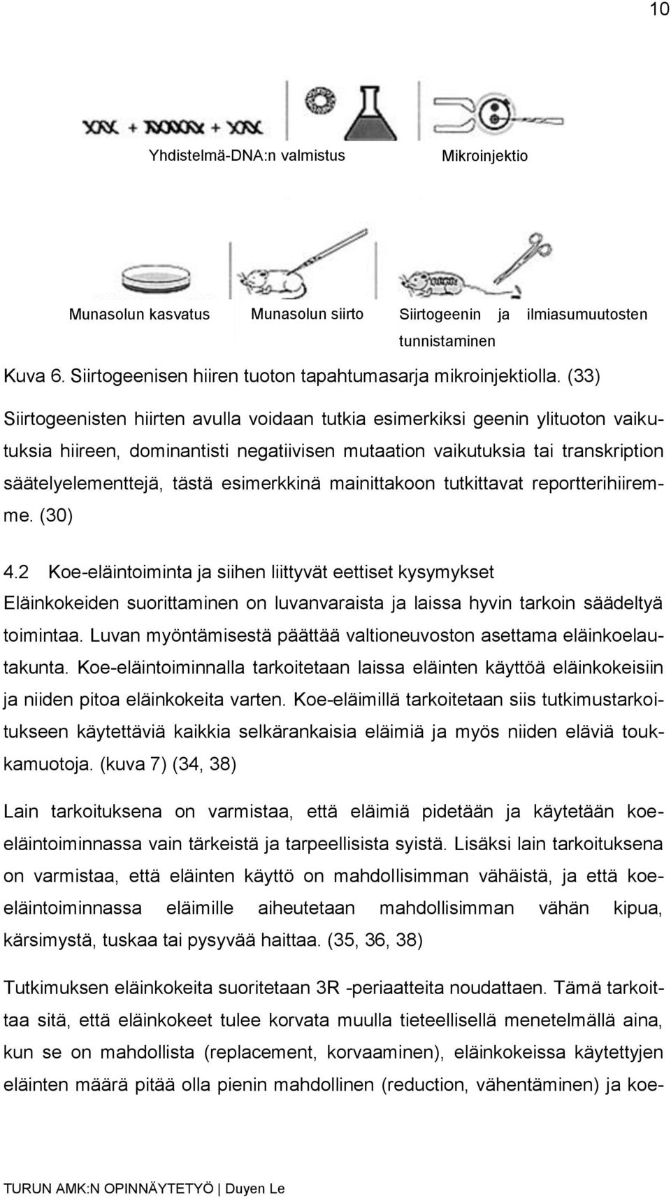 esimerkkinä mainittakoon tutkittavat reportterihiiremme. (30) 4.