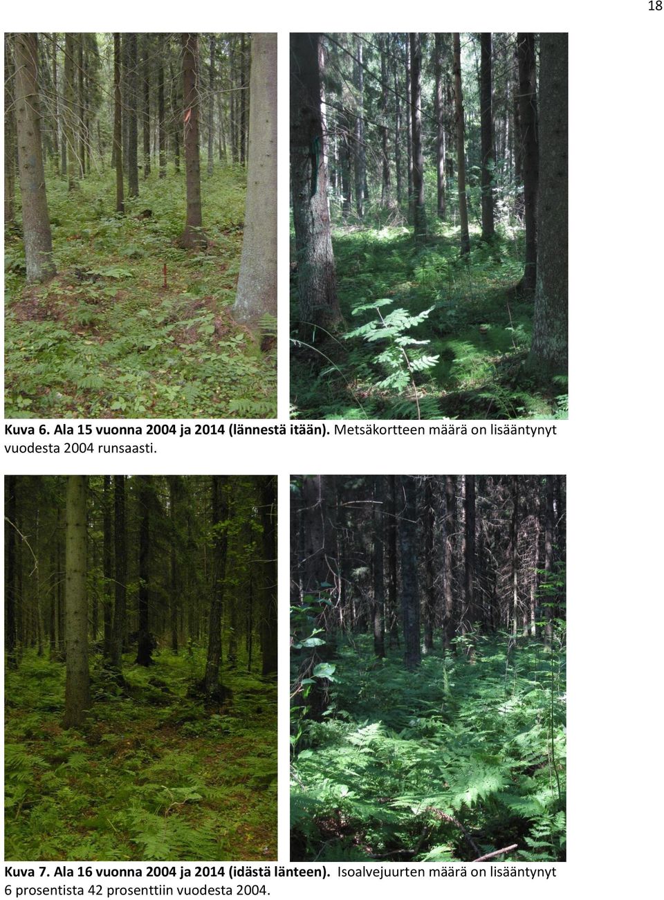 Kuva 7. Ala 16 vuonna 2004 ja 2014 (idästä länteen).