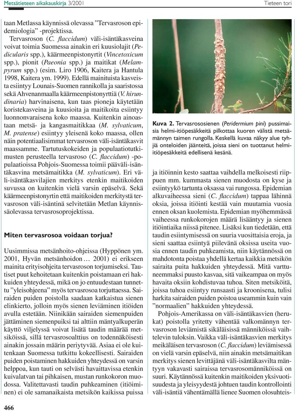 Edellä mainituista kasveista esiintyy Lounais-Suomen rannikolla ja saaristossa sekä Ahvenanmaalla käärmeenpistonyrttiä (V.