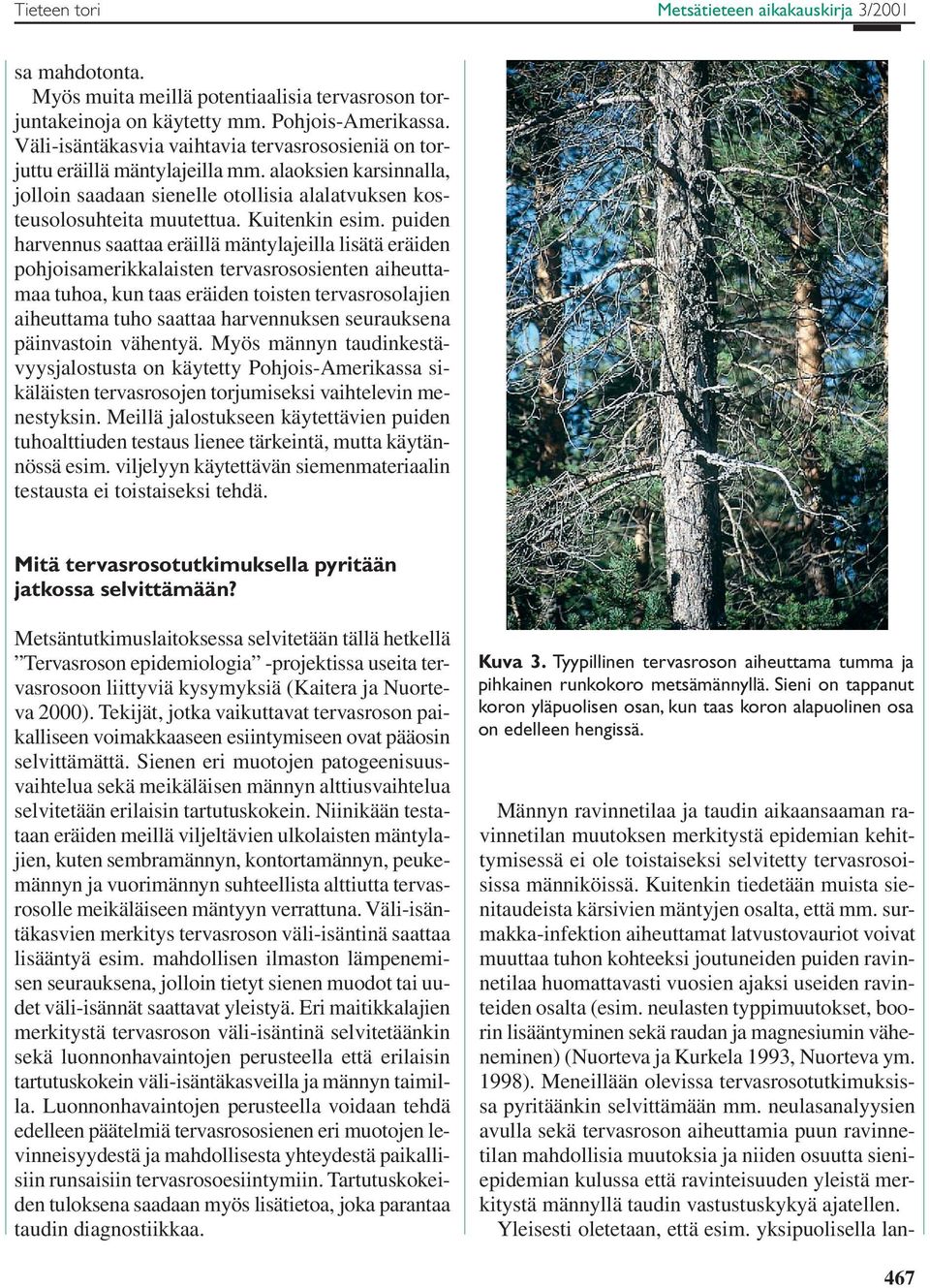 puiden harvennus saattaa eräillä mäntylajeilla lisätä eräiden pohjoisamerikkalaisten tervasrososienten aiheuttamaa tuhoa, kun taas eräiden toisten tervasrosolajien aiheuttama tuho saattaa