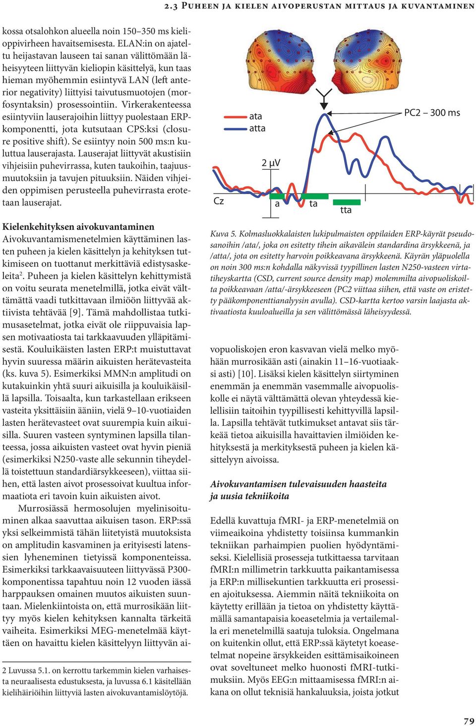 taivutusmuotojen (morfosyntaksin) prosessointiin. Virkerakenteessa esiintyviin lauserajoihin liittyy puolestaan ERPkomponentti, jota kutsutaan CPS:ksi (closure positive shift).