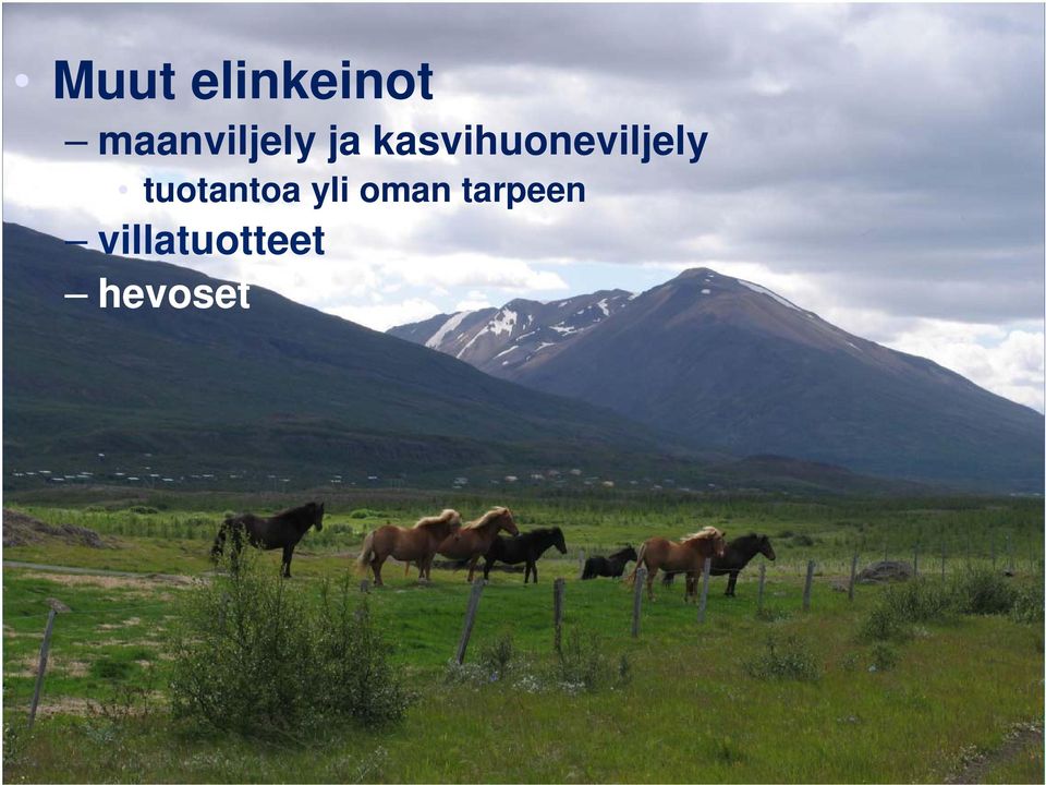 kasvihuoneviljely