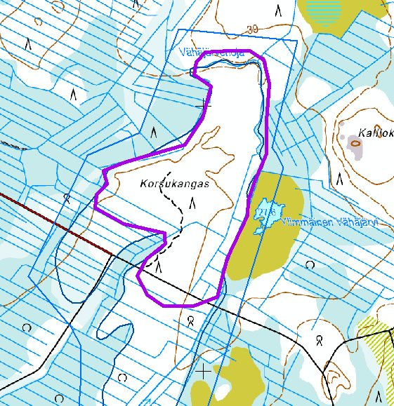 Kuva 8. Korsukangas, arvokkaan harjualueen rajaus Alueella on jossakin määrin merkittäviä erikoisia luonnonesiintymiä ja luonnonympäristön kauneusarvoja. Arvoluokka 4, MAL-luokka 1, POSKI-luokka 1.