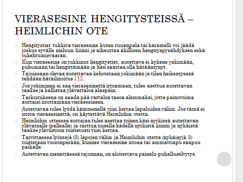 41 Liite