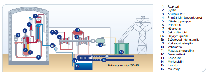 Radioaktiiviset aineet eivät siirry höyrystimen seinämien läpi, minkä vuoksi turbiinille ohjattava höyry ei ole radioaktiivista.
