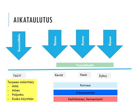 Kun ammattikeittiö on harjoitellut hankintaa muutaman kasvukauden, toiminta kääntyy toisin päin. Keittiö suunnittelee raaka-aineen tarpeensa hyvissä ajoin etukäteen ja tekee poimijoille tilauksen.