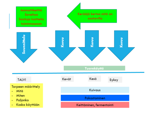 Kuva 2. Toiminnan aikatauluttaminen kerääjän tuotetiedoista lähtien.