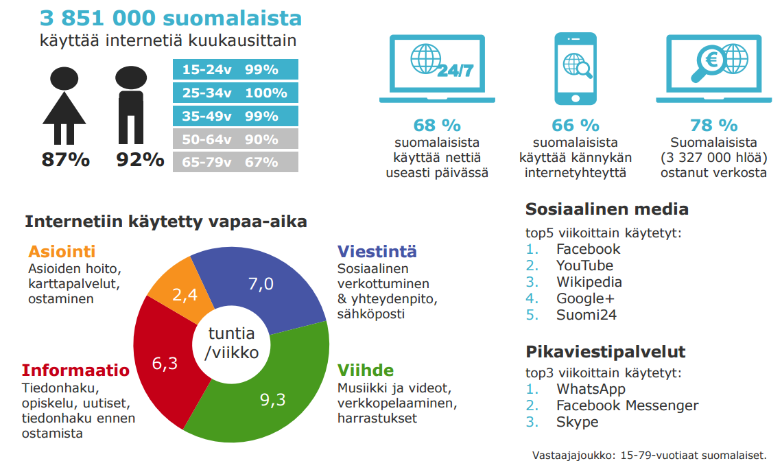 INTERNETIN KÄYTTÖ