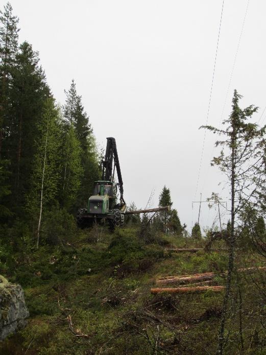 KUVIA VUODESTA 2015 Metsänomistajien raivaussahakurssi järjestettiin keväällä.
