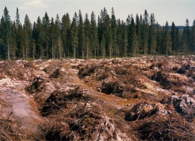 Tärkeimpänä tavoitteena oli tutkia maanmuokkauksen