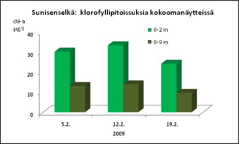 Levien jakaantuminen vesikerroksessa sameuden ja klorofyllin perusteella Syksyllä 2008 Levää pinnalta pohjalle, Koko vesipatsas sameaa