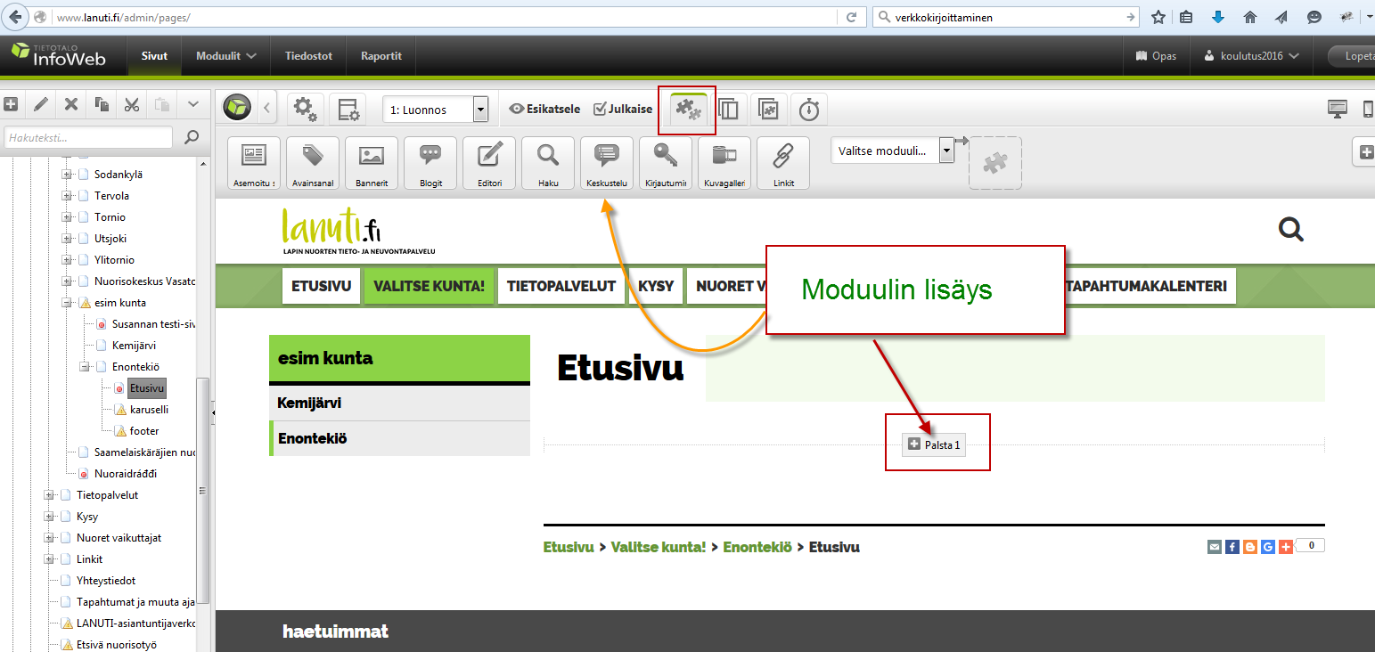 Voit valita moduulin sivulle käyttöön joko valintanauhan työkaluriviltä tai suoraan sivun palstasta Palstaxx osion kautta.