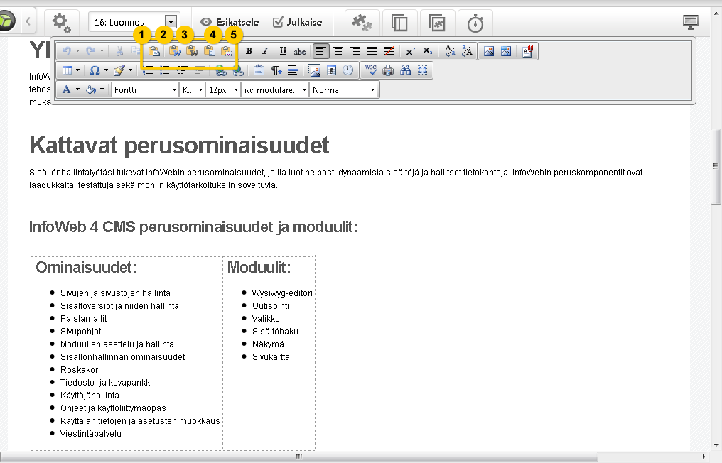 Valikkorivin painikkeita (Liitä / Liitä Word:sta / Liitä Word:sta, poista fontit / Liitä tekstinä / Liitä HTML:nä) Hiiren oikeasta painikkeesta avautuva valikon Kopioi ja Liitä -toiminnoilla.