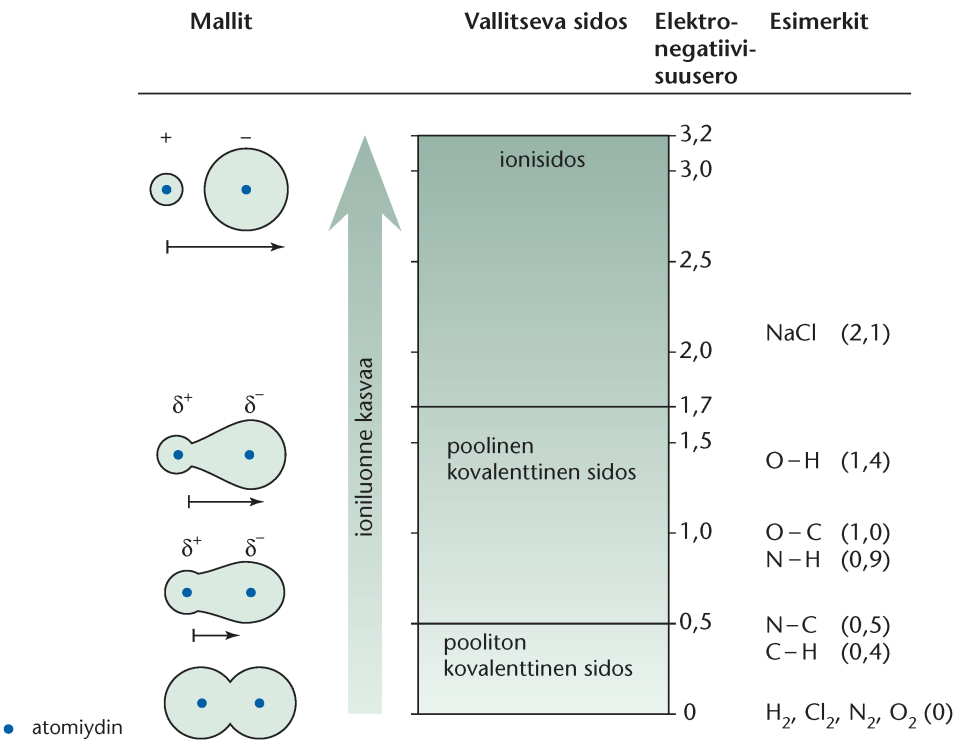 δ Esimerkki O H δ + χ O = 3,5 χ H = 2,1 χ = 3,5 2,1 = 1,4 Huom! Poolisia molekyylejä sanotaan dipoleiksi (di-pole= kaksi napaa).