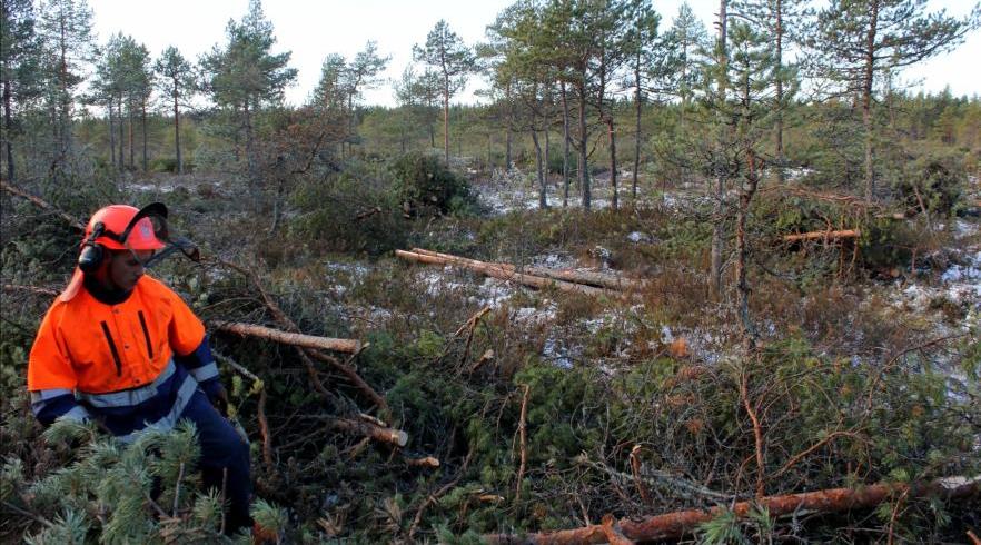 Riistaa reunoilta METSO-yhteistoimintaverkostohanke