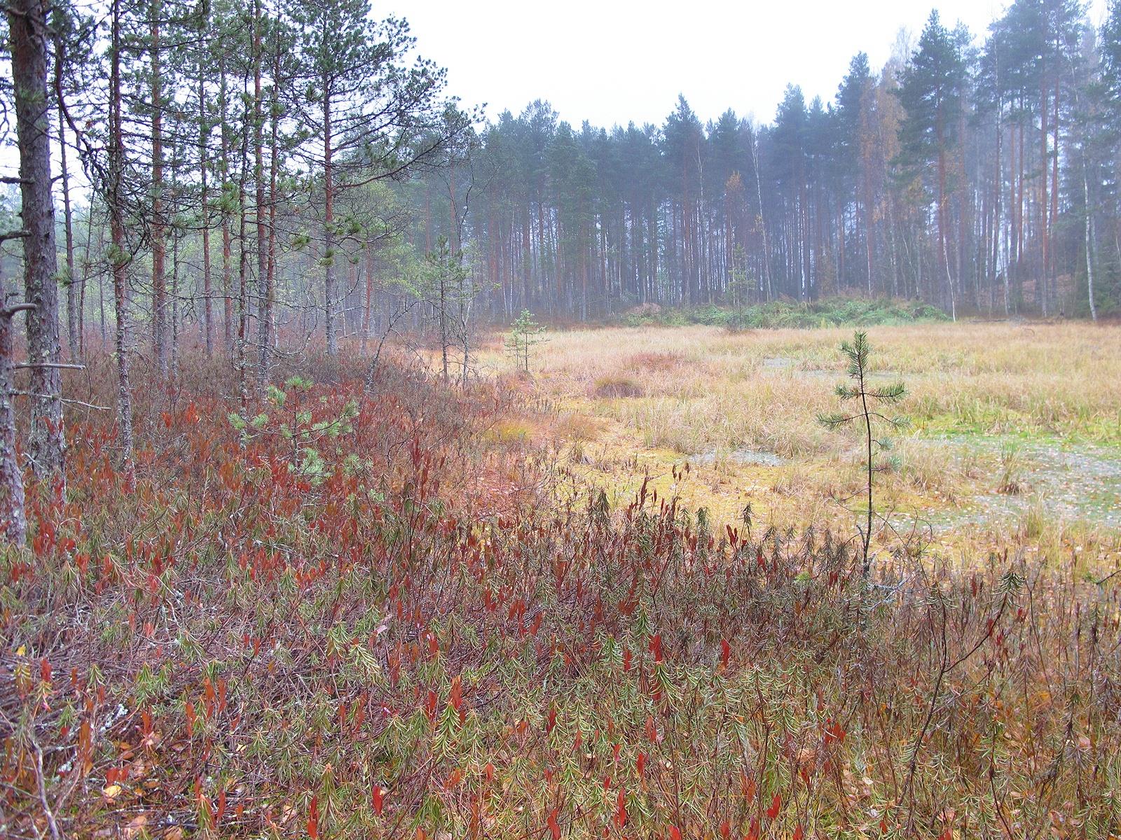 Piste 7. Kävelijä taival pysähtyy hetteikköön.