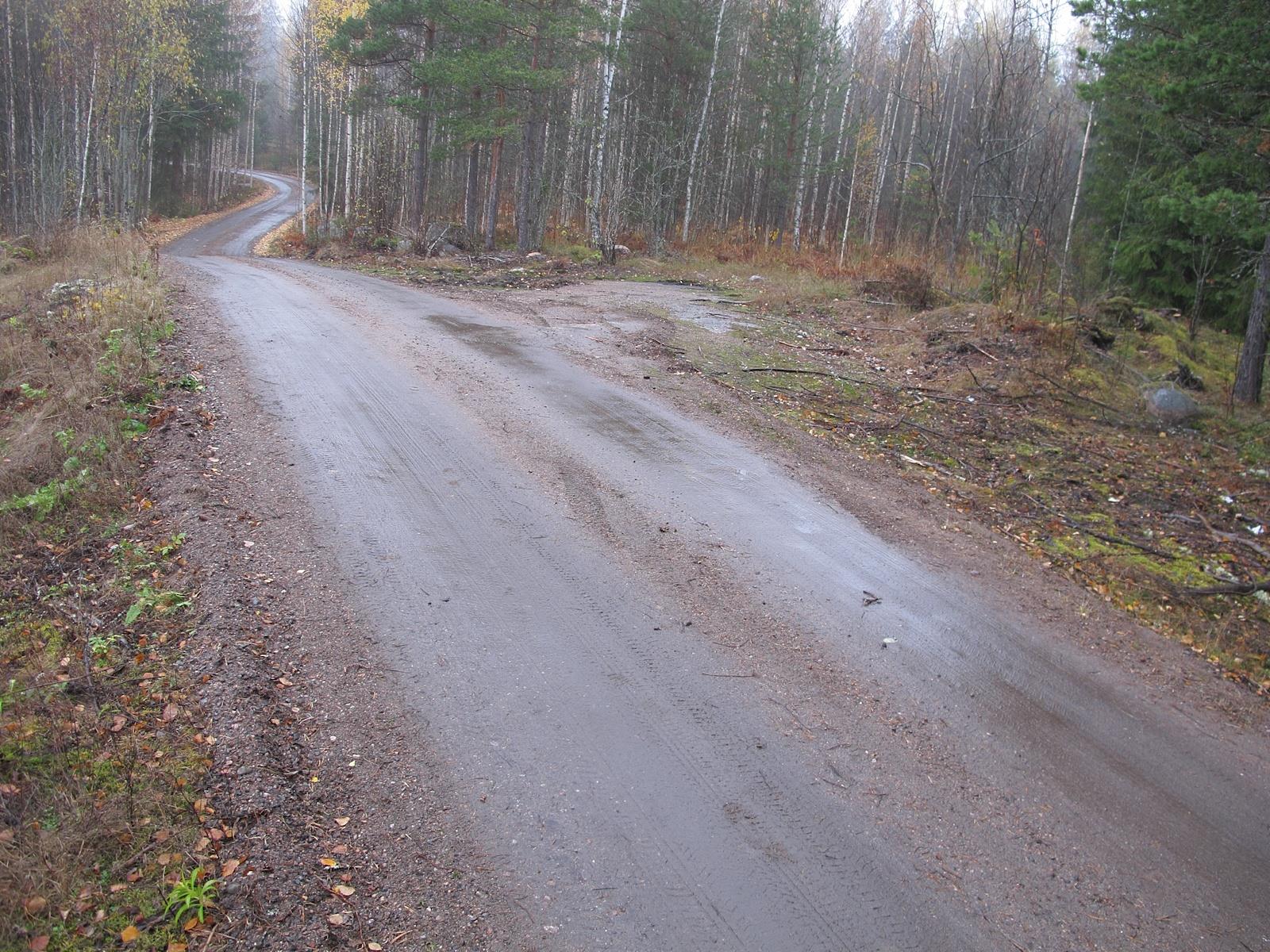 Kävelijä nousee risukkoista rinnettä