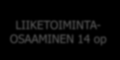 Diplomi-insinöörin tutkinto 120 op DIPLOMITYÖ 30 op SUUNNAN SYVENTÄVÄT OPINNOT Väh.