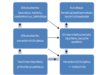 3 KUVA 1. Vihersalaattien päävaiheet elintarvikeketjussa, alkutuotannosta kuluttajan lautaselle saakka (Huttunen 2015).