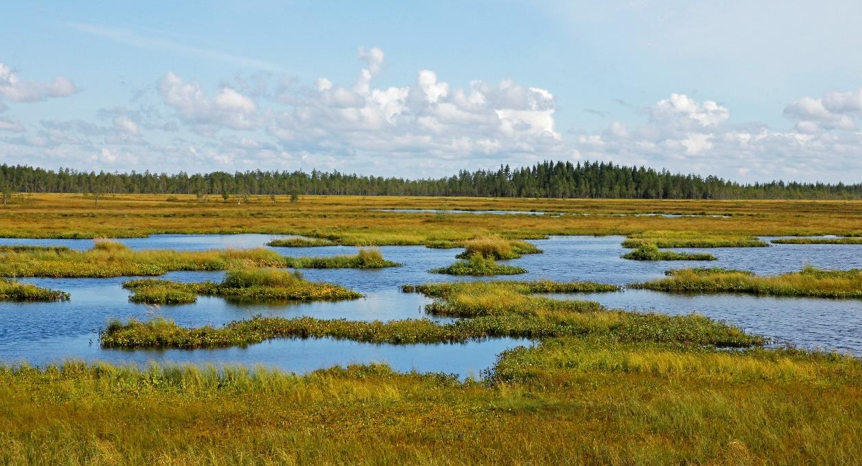 LUONNONNÄHTÄVYYDET, SUOJELUKOHTEET JA KÄYNTIKOHTEET Olvassuon luonnonpuisto Hienoimmillaan Pohjois-Pohjanmaan suoluonto esittäytyy Utajärven ja Pudasjärven rajoilla leviävällä Olvas-,