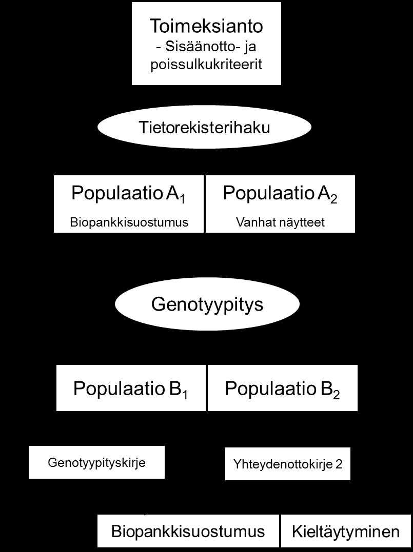 yhteydenottokirje 3 ja sen myötä biopankkisuostumuksen tekeville ja luvan yhteydenottoon antaneille lähetetään edelleen genotyypityskirje. KUVIO 10.