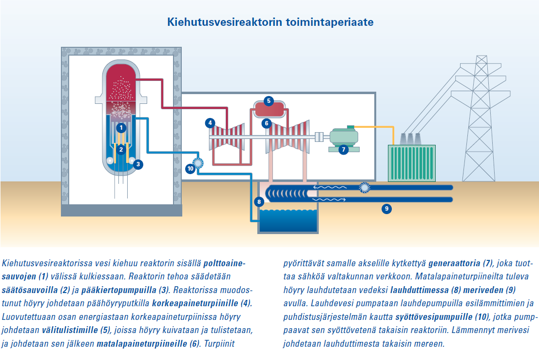 7 Kuva 1. Kiehutusvesireaktorin toimintaperiaate. (Teollisuuden Voima Oyj 2007, 5) 2.1.1 Polttoaine Reaktorissa käytettävän polttoaineen rakenteella, mallilla ja väkevyydellä on paljon vaikutusta reaktorin ajotapaan ja käyttäytymiseen.