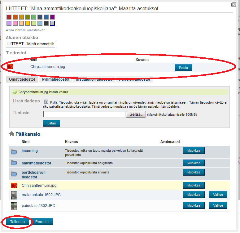 Kyvyt.fi-ohjeita / MR 22.12.2011 20(21) Kun tiedostosi on ladattu, se näkyy Tiedostot-listauksessa.