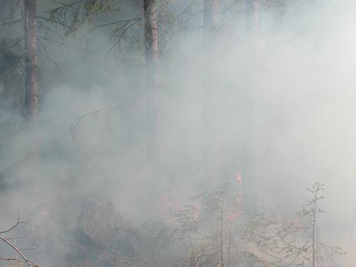 Kulotusten tavoitteet, kehittämistarpeet ja ongelmat, yksi näkemys kokonaisuudesta