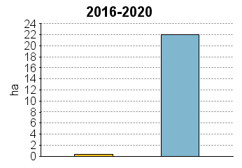 UPM Metsäsuunnitelma Tulostettu 20.6.