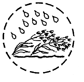 Puintiongelmat Saprofyyttiset sienet Rajala, A. & Peltonen-Sainio, P. 2000. Manipulating yield potential in cereals by plant growth regulators.