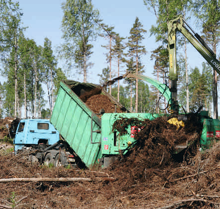 tiikalla ja tuilla. Puutuoteteollisuudelle näillä voi olla merkittävä vaikutus, sillä puukustannus on alan yksittäinen suurin kuluerä.