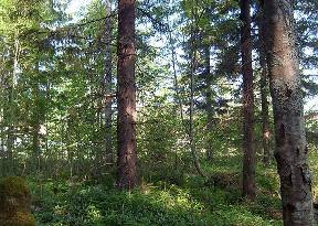 Suunnittelutilanne 3.2.