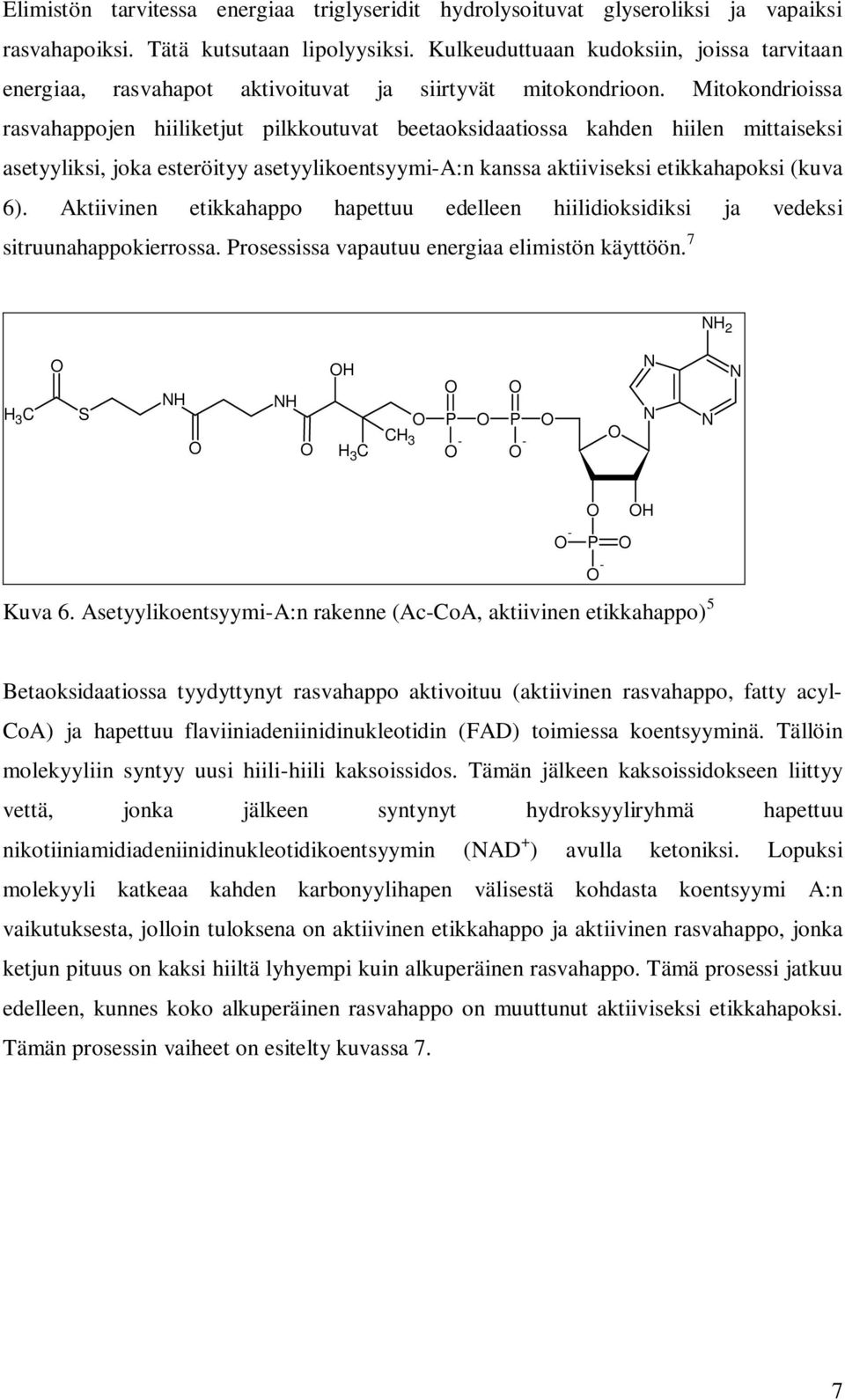Mitokondrioissa rasvahappojen hiiliketjut pilkkoutuvat beetaoksidaatiossa kahden hiilen mittaiseksi asetyyliksi, joka esteröityy asetyylikoentsyymi-a:n kanssa aktiiviseksi etikkahapoksi (kuva 6).