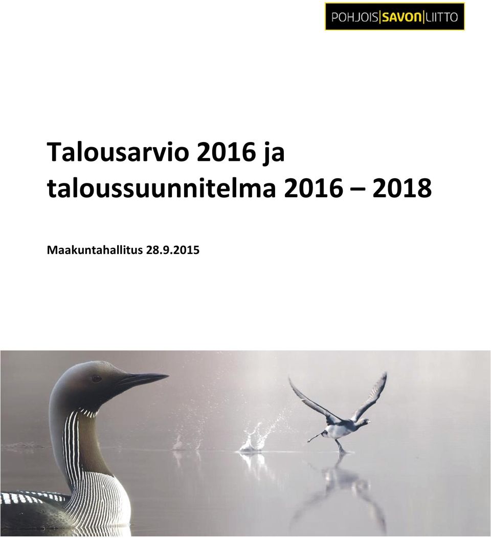 taloussuunnitelma