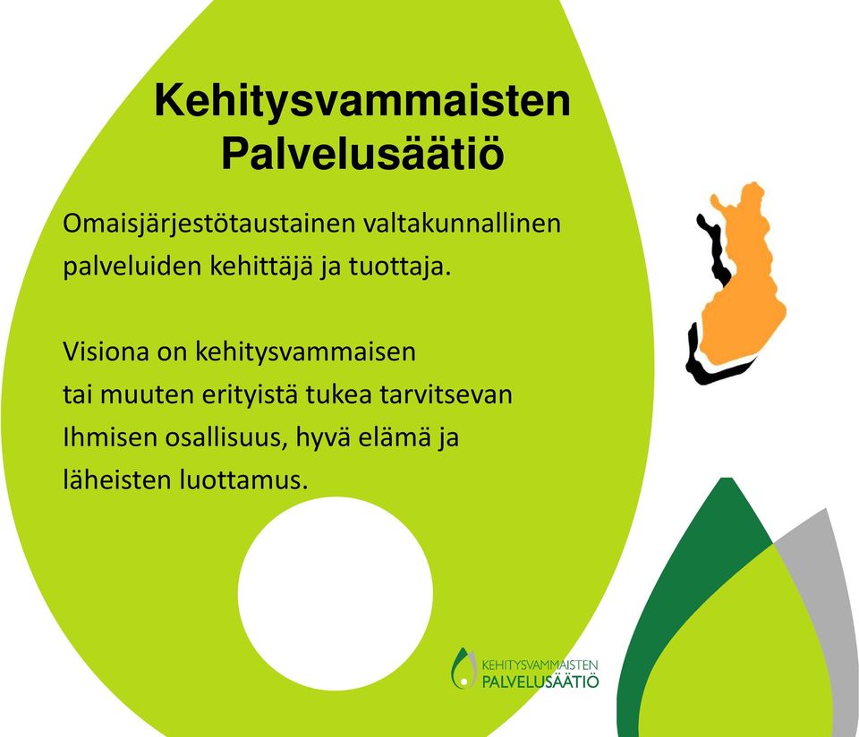 Visiona on kehitysvammaisen tai muuten erityistä tukea