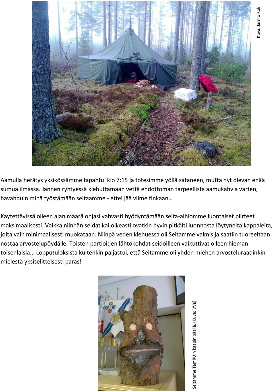 hyödyntämään seita-aihiomme luontaiset piirteet maksimaalisesti. Vaikka niinhän seidat kai oikeasti ovatkin hyvin pitkälti luonnosta löytyneitä kappaleita, joita vain minimaalisesti muokataan.
